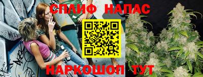 гашик Будённовск