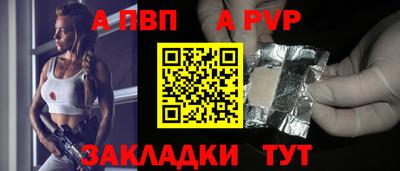 гашик Будённовск