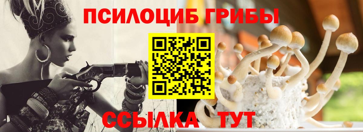 Усть-Илимск  что такое наркотик  Вход с VPN  Псилоцибиновые грибы Magic Shrooms 